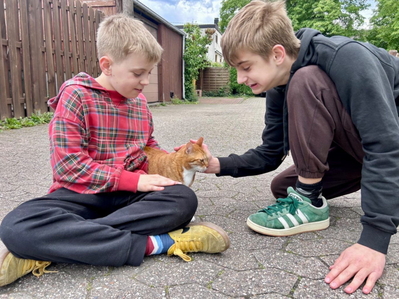 Besuch von Miezius aka Bubi
