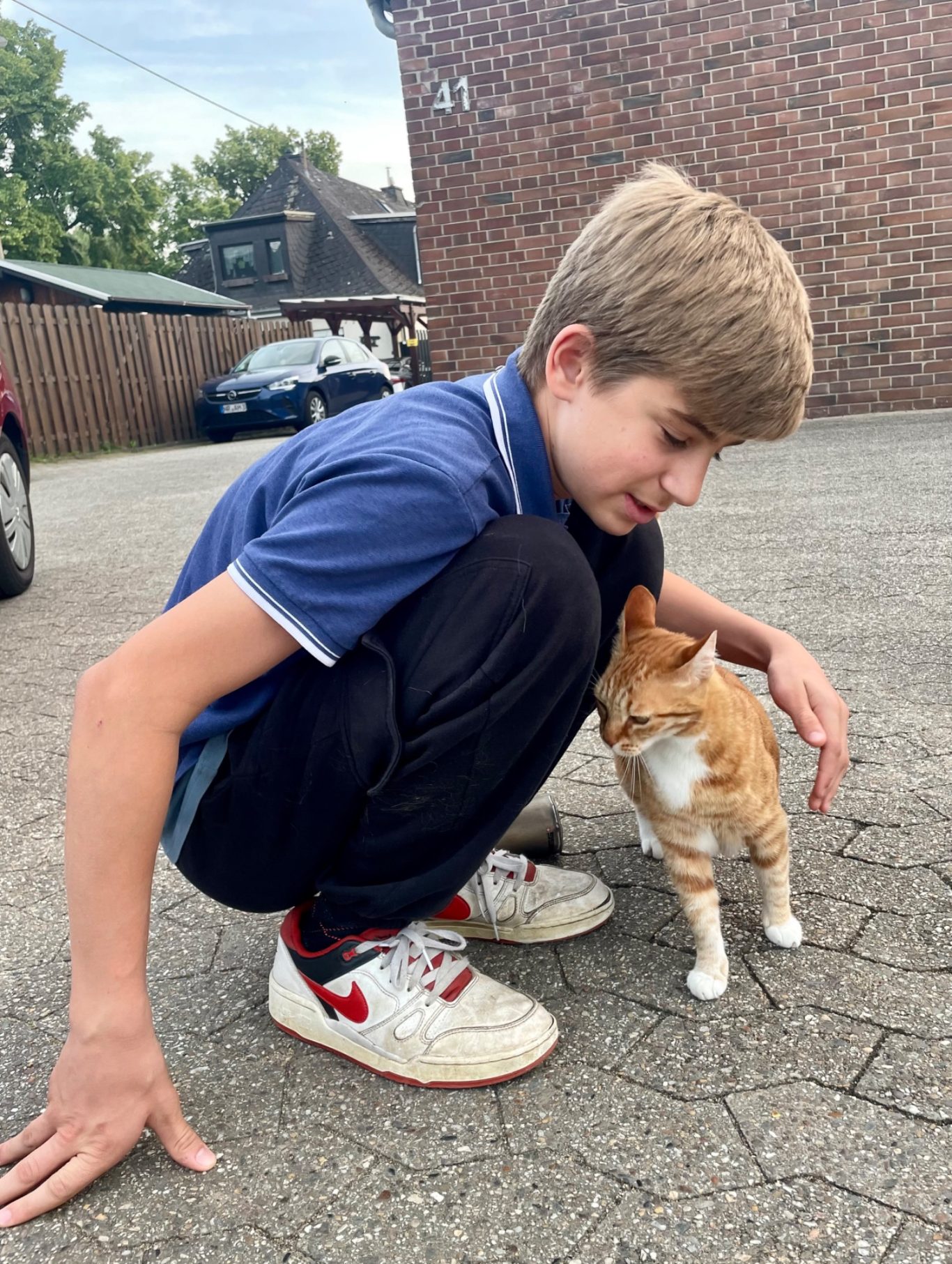 Und wieder Miezius...